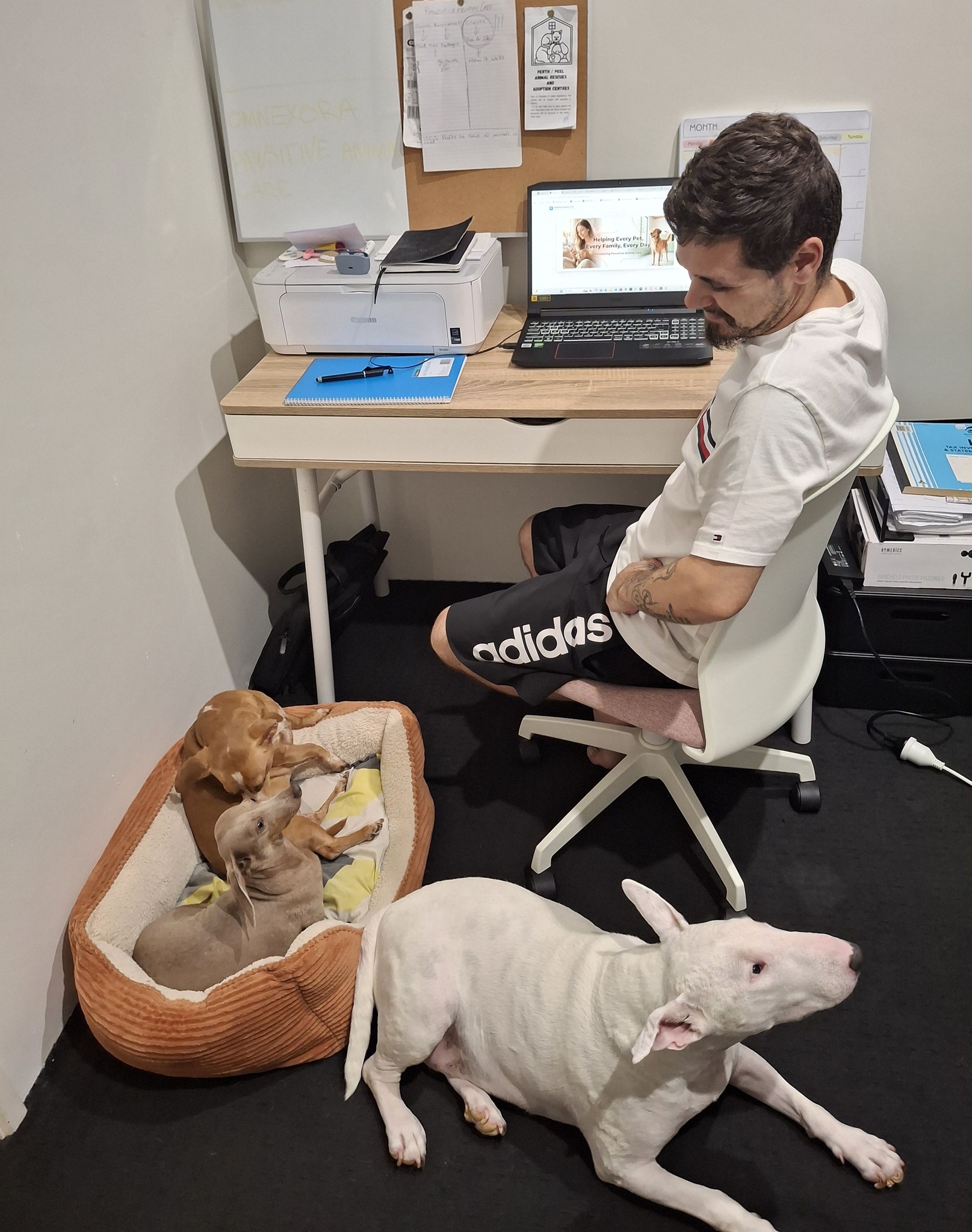 Chad Spencer, Founder of Spencer Intelligence, working at his desk